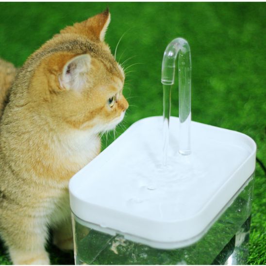 Fontaine a eau chat | Hiflo™ - Ambiance chat