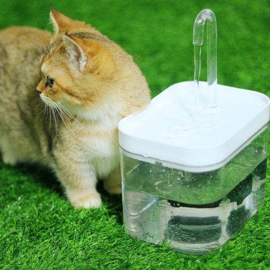 Fontaine a eau chat | Hiflo™ - Ambiance chat