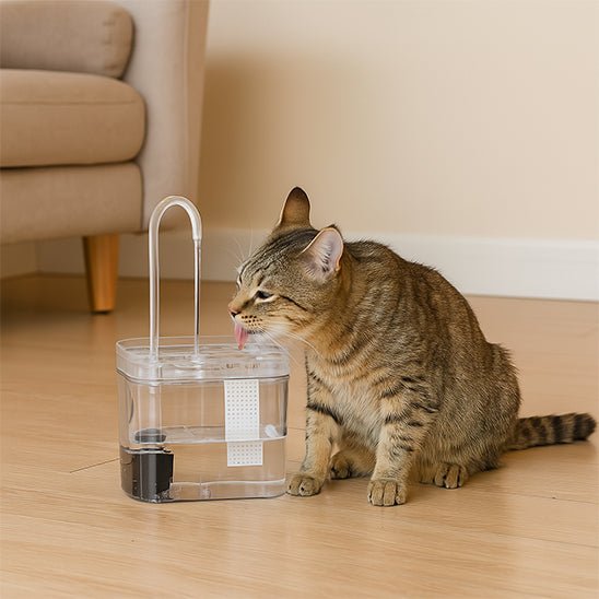 Fontaine a eau chat | Hiflo™ - Ambiance chat