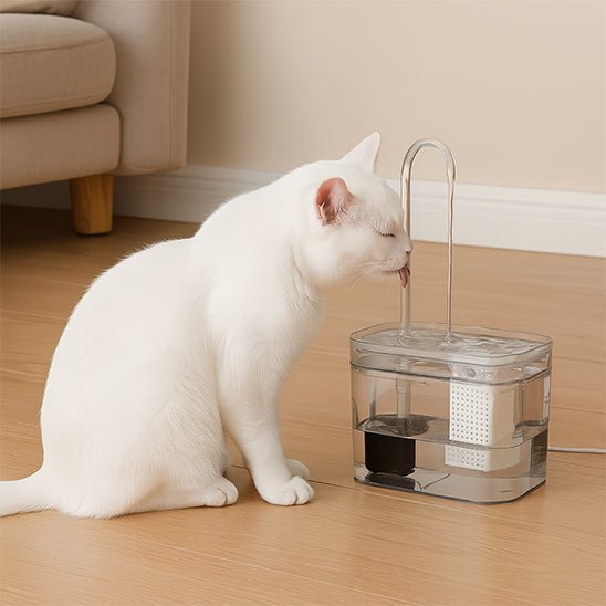 Fontaine a eau chat | Hiflo™ - Ambiance chat