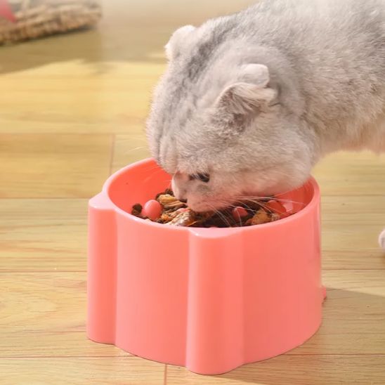 Gamelle Anti Glouton Chat | Hilow™ - Ambiance chat