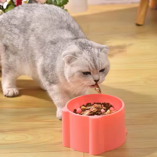 Gamelle Anti Glouton Chat | Hilow™ - Ambiance chat