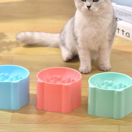 Gamelle Anti Glouton Chat | Hilow™ - Ambiance chat