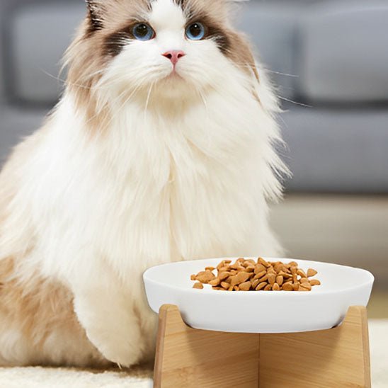 Gamelle Anti - Glouton Chat | Jently™ - Ambiance chat