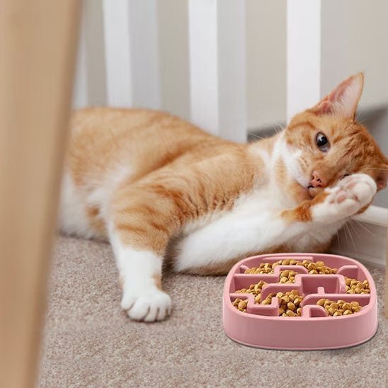 Gamelle Anti Glouton Chat | Labby™ - Ambiance chat