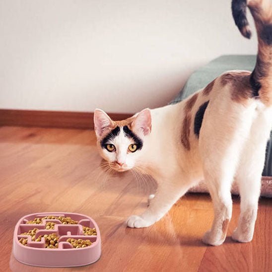 Gamelle Anti Glouton Chat | Labby™ - Ambiance chat