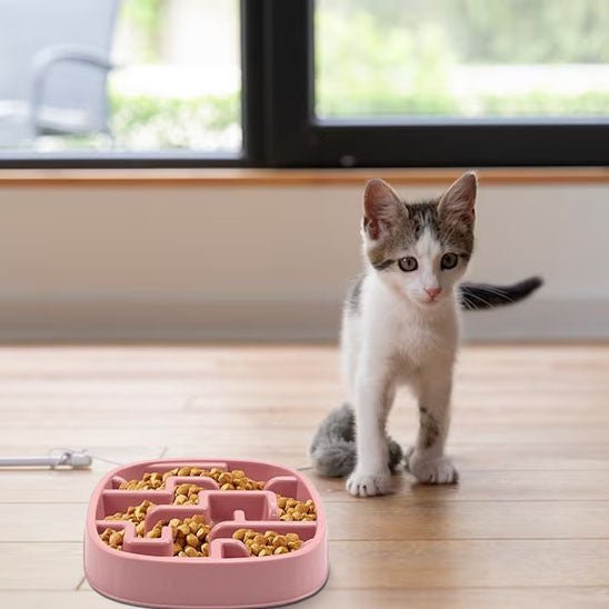 Gamelle Anti Glouton Chat | Labby™ - Ambiance chat