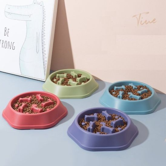 Gamelle Anti Glouton Chat | Milow™ - Ambiance chat