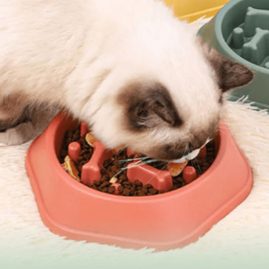 Gamelle Anti Glouton Chat | Milow™ - Ambiance chat