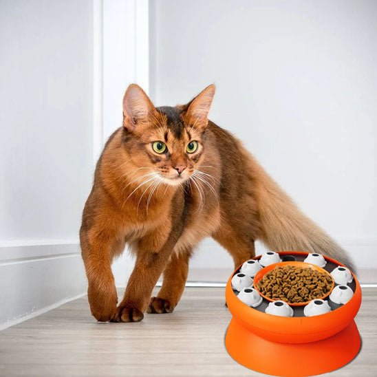 Gamelle anti glouton chat | Sturny™ - Ambiance chat
