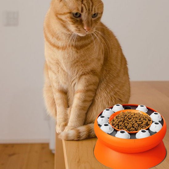 Gamelle anti glouton chat | Sturny™ - Ambiance chat