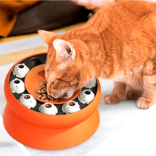 Gamelle anti glouton chat | Sturny™ - Ambiance chat