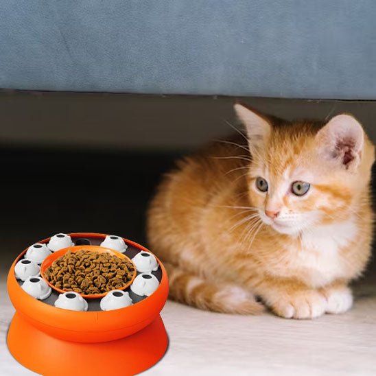 Gamelle anti glouton chat | Sturny™ - Ambiance chat