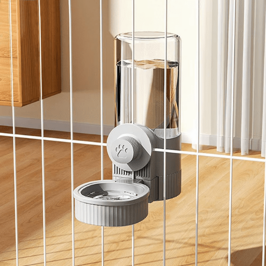 Gamelle Chat | Adjusty™ - Ambiance chat