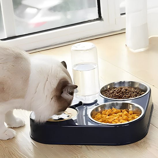 Gamelle Chat | Diversy™ - Ambiance chat