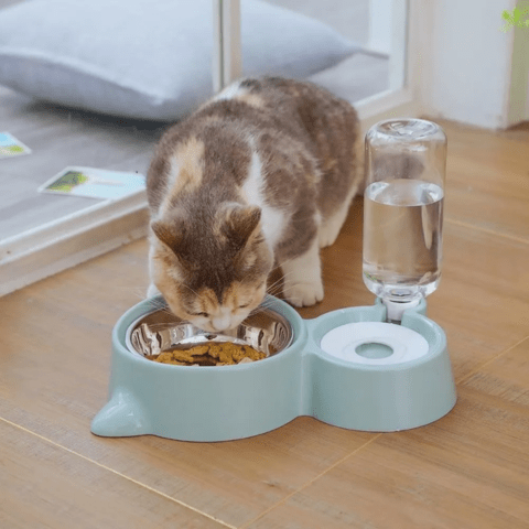 Gamelle chat | Feedy™ - Ambiance chat