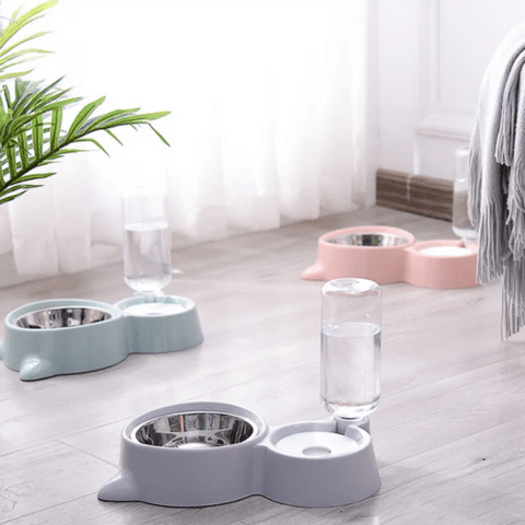 Gamelle chat | Feedy™ - Ambiance chat