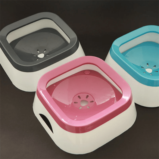 Gamelle chat | Fixxo™ - Ambiance chat