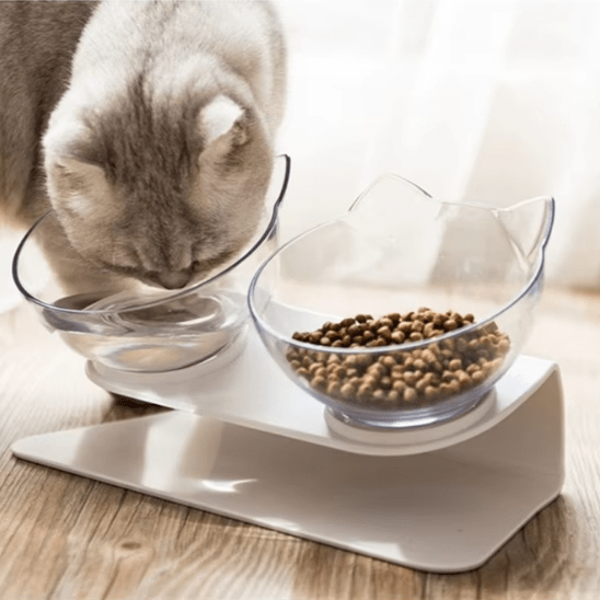 Gamelle chat | LuxuryStandâą - Ambiance chat