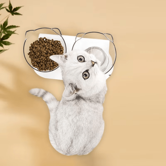 Gamelle chat | LuxuryStandâą - Ambiance chat