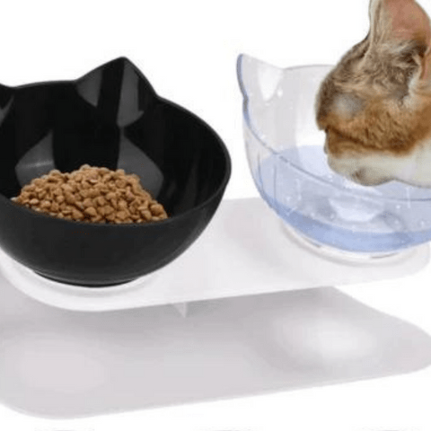 Gamelle chat | LuxuryStandâą - Ambiance chat