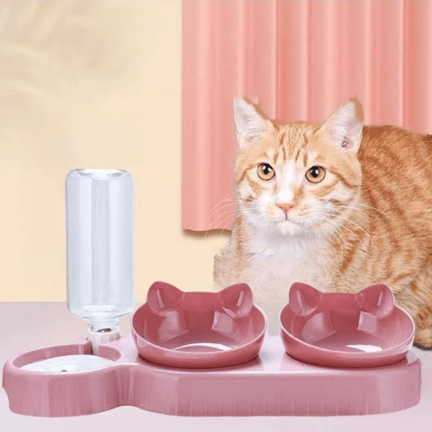 Gamelle chat | Multyâą - Ambiance chat