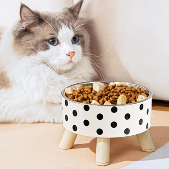 Gamelle Chat | Patty™ - Ambiance chat