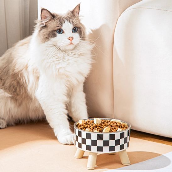 Gamelle Chat | Patty™ - Ambiance chat