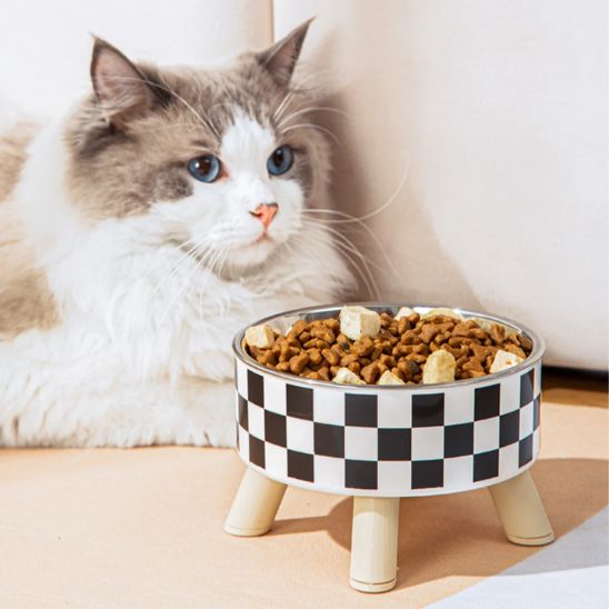 Gamelle Chat | Patty™ - Ambiance chat
