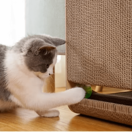 Griffoir Chat | Hellyâą - Ambiance chat