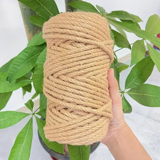 Griffoir Chat | Roppyâą - Ambiance chat