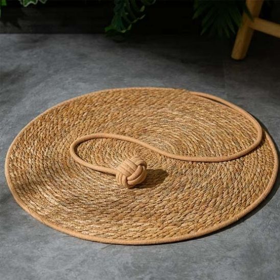 Griffoir Chat | Roundy™ - Ambiance chat