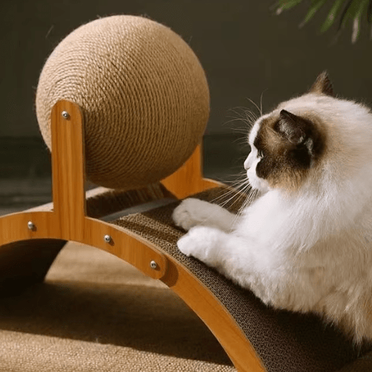 Griffoir chat | Spacyâą - Ambiance chat