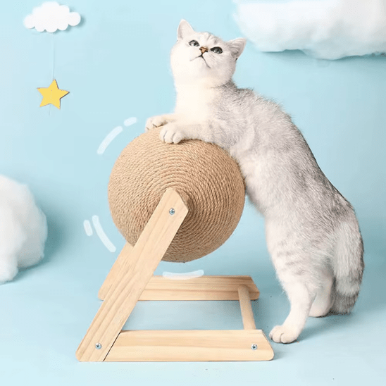 Griffoir Chat | Spinny™ - Ambiance chat