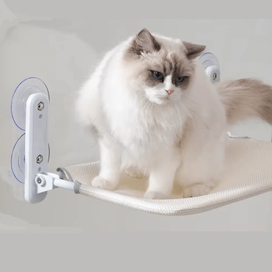Hamac pour chat | Dissim™ - Ambiance chat