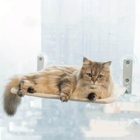 Hamac pour chat | Dissim™ - Ambiance chat