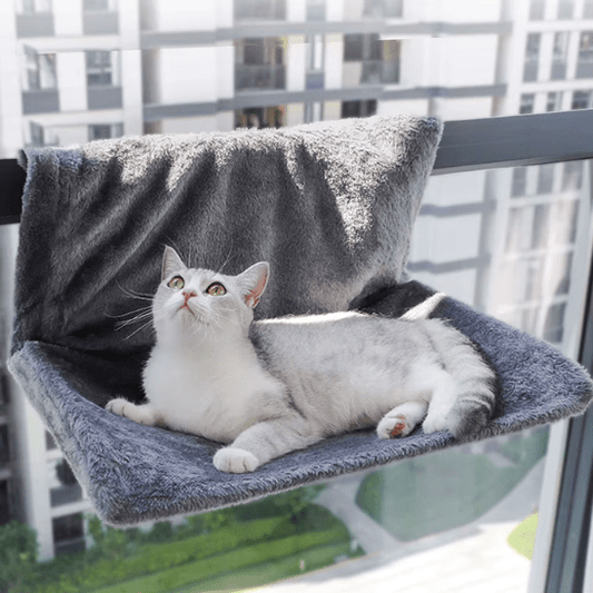 Hamac pour Chat | Hookyâą - Ambiance chat