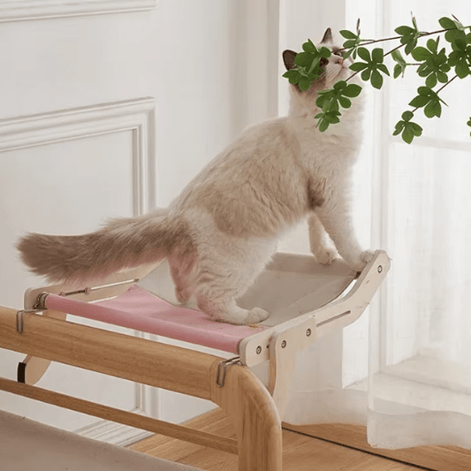 Hamac pour Chat | Wooly⹠- Ambiance chat