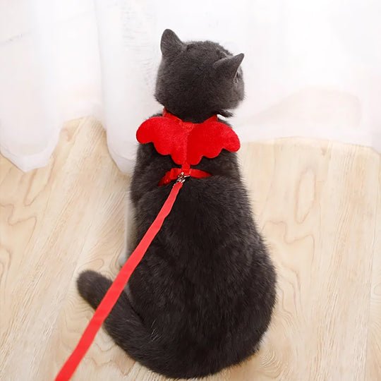 Harnais Chat | Angy™ - Ambiance chat