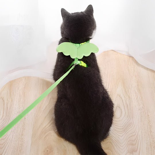 Harnais Chat | Angy™ - Ambiance chat