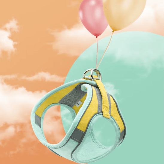 Harnais chat | RideLeash™ - Ambiance chat