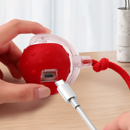 Jouet Pour Chat | Balvy™ - Ambiance chat