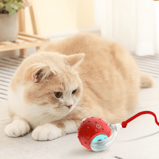 Jouet Pour Chat | Balvyâą - Ambiance chat