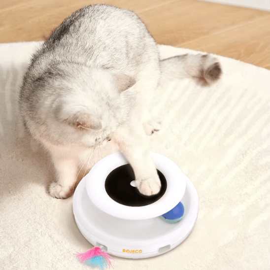Jouet pour Chat | Findyâą - Ambiance chat