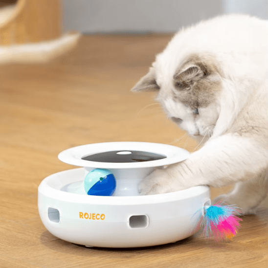 Jouet pour Chat | Findyâą - Ambiance chat