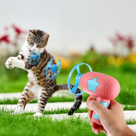 Jouet pour Chat | Funflyâą - Ambiance chat