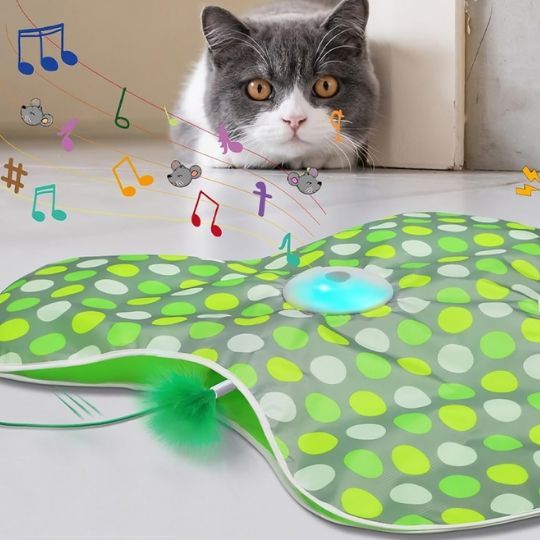 Jouet Pour Chat | Funmapâą - Ambiance chat