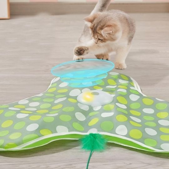 Jouet Pour Chat | Funmapâą - Ambiance chat