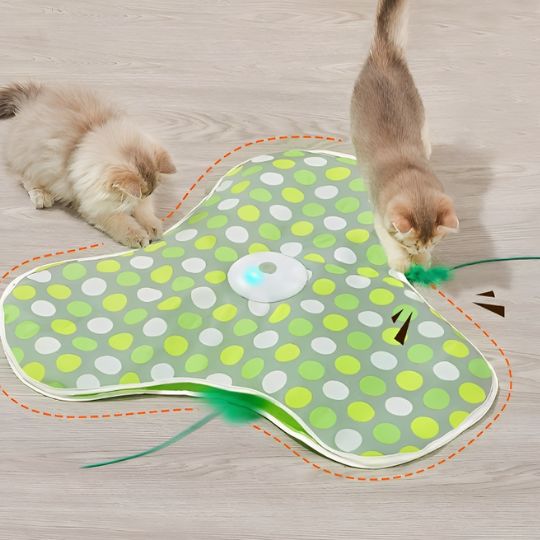 Jouet Pour Chat | Funmapâą - Ambiance chat