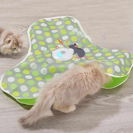 Jouet Pour Chat | Funmapâą - Ambiance chat